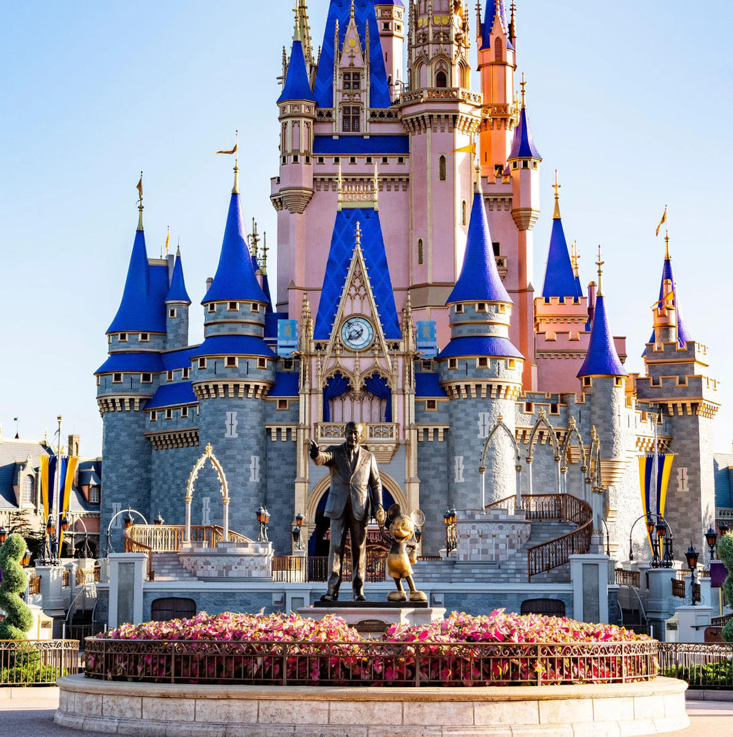 Sure Tip Donations - Disney Vacation Package #2! - 81702